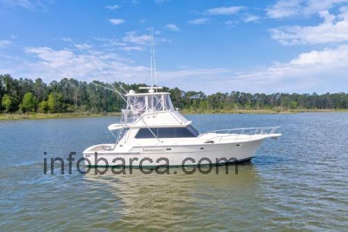 Bertram 42 recensioni e scheda tecnica